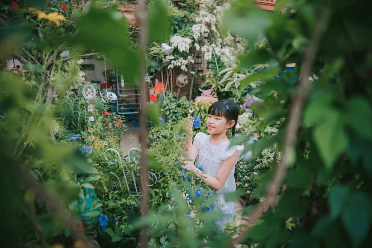 Child exploring a lush, green backyard garden