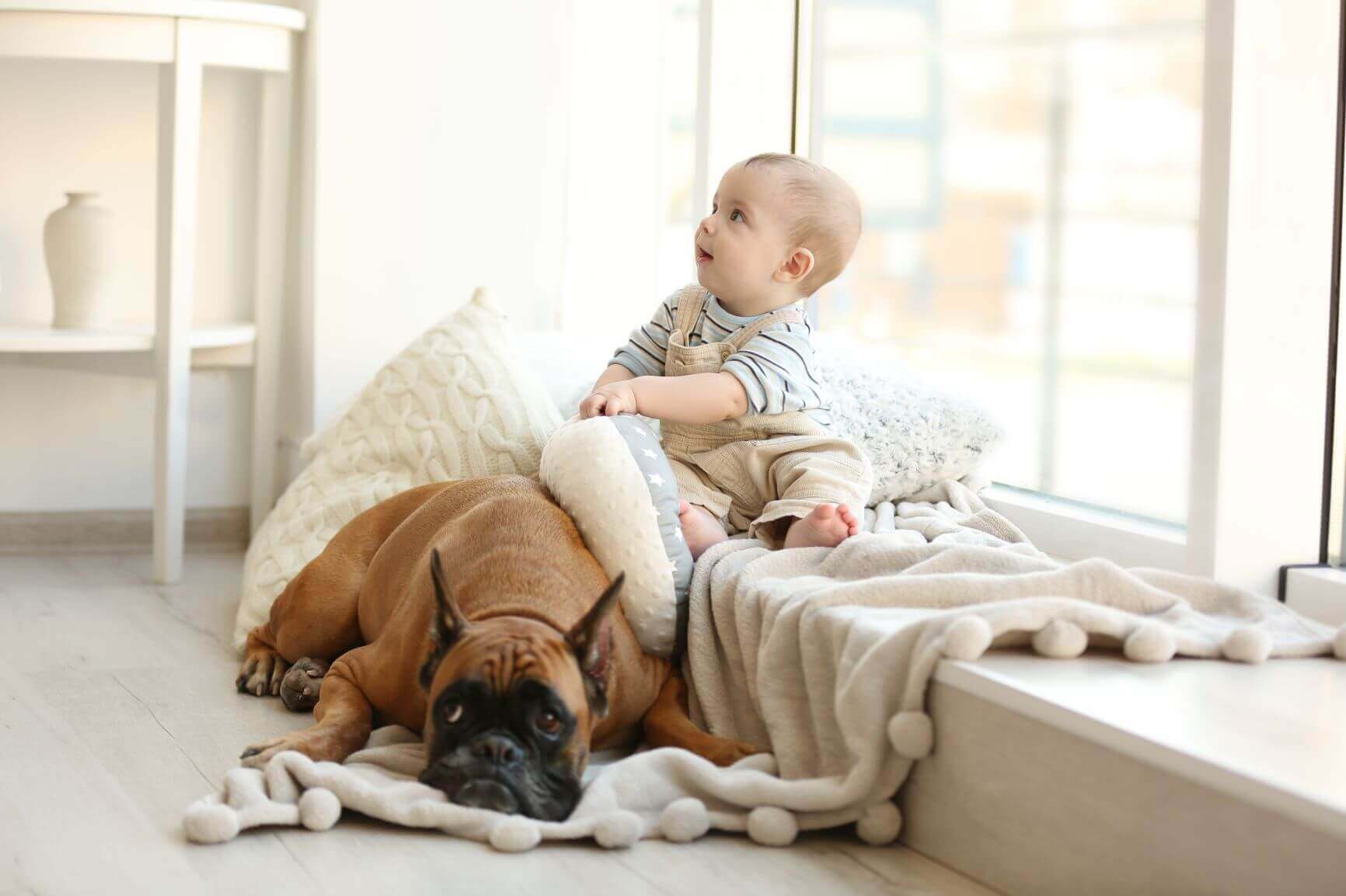 Baby sitting on a window seat next to a dog lying on the floor.