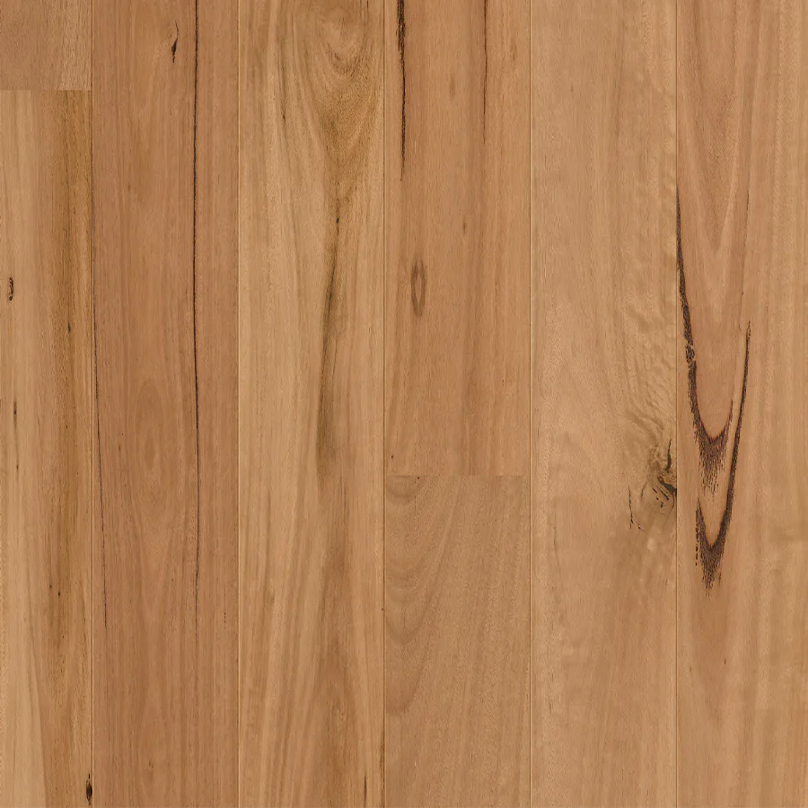 Close-up view of natural timber flooring planks showing warm honey-colored wood grain with distinctive dark knots and vertical timber strips in varying widths