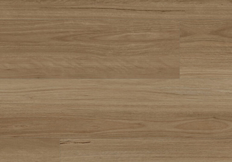 summit-977-new-england-blackbutt